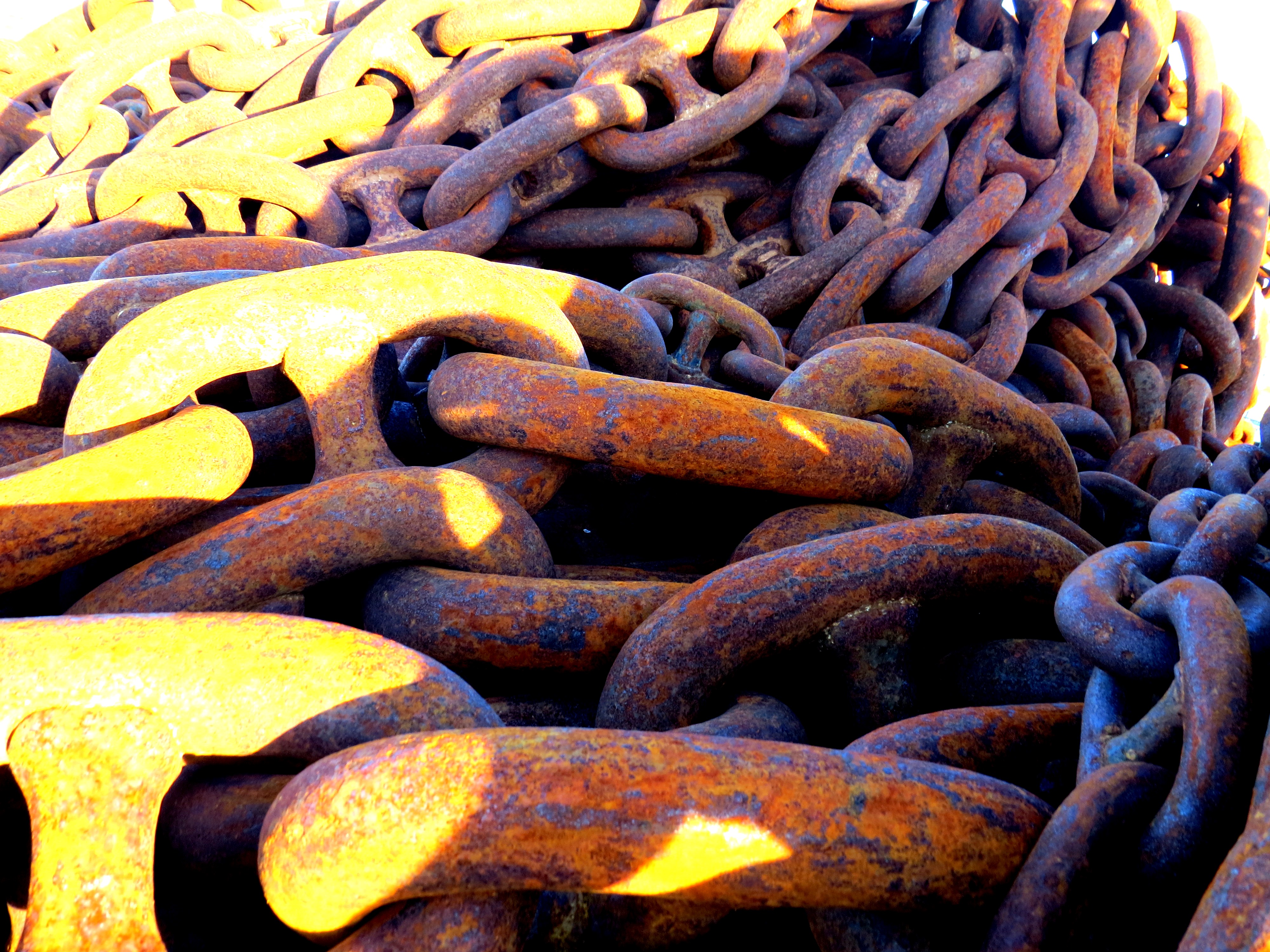 Wave Energy Scotland Shapes Future Innovation Calls.jpg