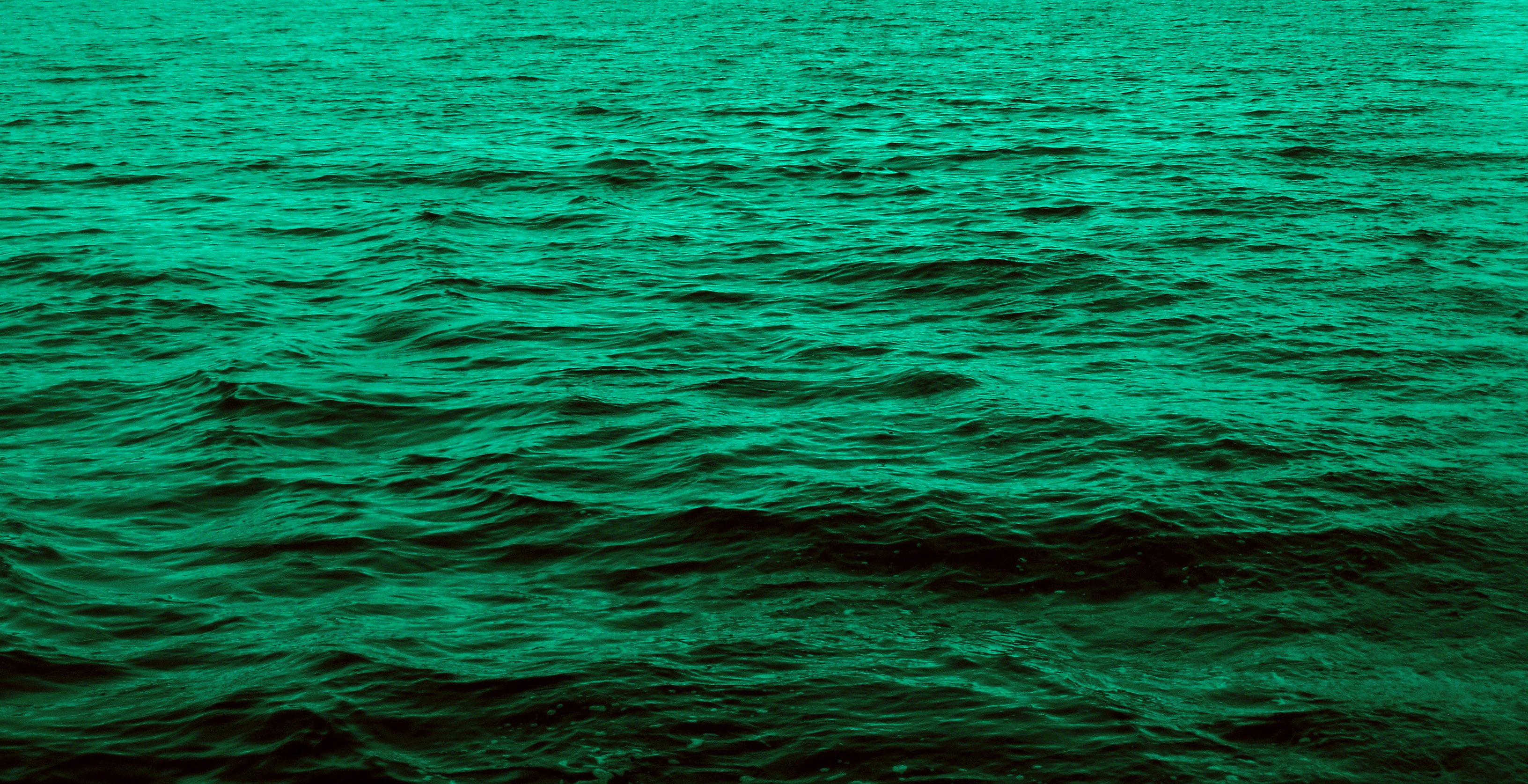 WES & EMEC gather Orkney supply chain's lessons learned.jpg