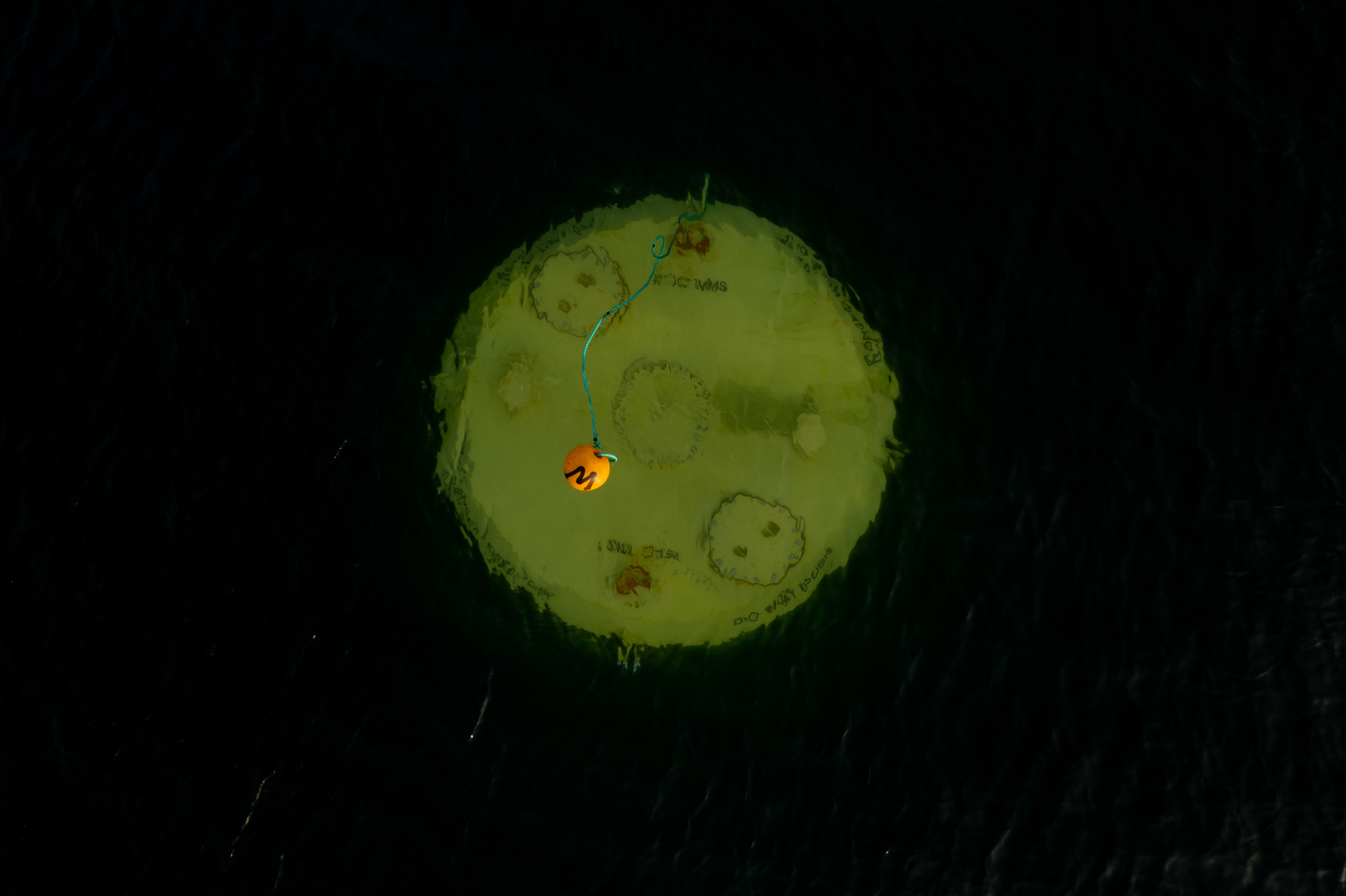 Policy & Innovation Group report reveals latest wave & tidal stream forecasts.jpg